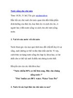 Nước uống cho chó mèo potx