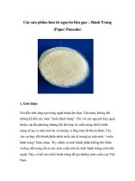 Các sản phẩm làm từ nguyên liệu gạo – Bánh Tráng doc