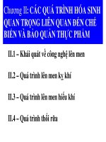 Bài giảng vi sinh thực phẩm part 2 ppt