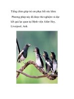 Tiếng chim giúp trẻ em phục hồi sức khỏe pps