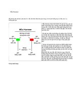 Mẫu Hammer doc