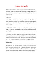 HƯỚNG DẪN HÀNH NGHỀ - Làm trứng muối potx