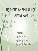 Báo cáo: Hệ thống an sinh xã hội tại Việt Nam pps