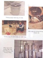 Kỹ thuật nuôi ong nội địa cho người bắt đầu nuôi ong part 6 pot