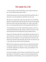 nơi nào có ý chí, nơi đó có con đường - Sức mạnh của ý chí potx