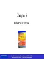 International human resource management - Chapter 9 pptx