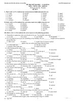 Đề thi thử đại học cao đẳng môn tiếng anh - đề số 9 ppsx