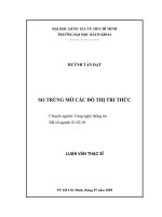 SO TRÙNG mờ các đồ THỊ TRI THỨC