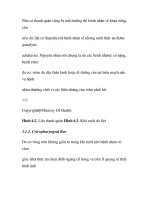 quá trình hình thành và phương pháp điều trị bệnh rối loạn vận động của thực quản p2 doc