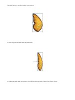 những phương pháp import file trong AI p10 pps