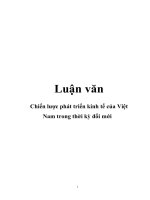 Chiến lược phát triển kinh tế của việt nam trong thời kỳ đổi mới