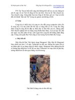 Kĩ thuật quân sự Đại Việt part 5 potx