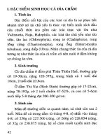 Kỹ thuật nuôi cá chim trắng nước ngọt part 5 docx