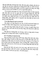 Kỹ thuật sản xuất giống và nuôi cá rô phi part 6 pps