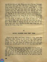 Chữ Nôm : Nguồn gốc - Cấu tạo - Diễn biến part 7 ppsx