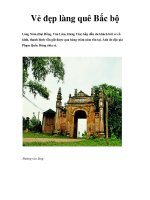 Vẻ đẹp làng quê Bắc bộ potx