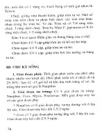 Kỹ thuật nuôi một số loài tôm phổ biến ở Việt Nam part 5 docx