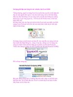 Sử dụng dữ liệu mở rộng từ các website cho Excel 2010 potx