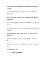 quá trình hình thành và phương pháp điều trị bệnh đái tháo đường trong y học p4 ppt