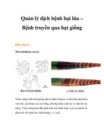 Quản lý dịch bệnh hại lúa – Bệnh truyền qua hạt giống docx