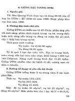 Kỹ thuật trồng các giống lạc, đậu đỗ, rau quả và cây ăn củ mới part 4 pptx