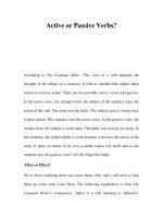 Active or Passive Verbs? pptx