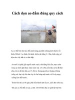 Cách dọn ao đầm đúng quy cách ppt