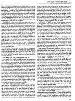 Từ điển bách khoa Việt Nam 2 part 7 doc