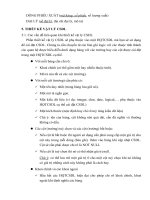 Cách phân tích thiết kế hệ thống thông tin quan trọng phần 6 ppsx