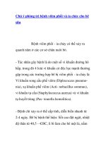 Chú ý phòng trị bệnh viêm phổi và ỉa chảy cho bê sữa ppt