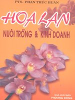 Hoa Lan nuôi trồng và kinh doanh part 1 potx
