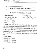 Kỹ thuật pha chế sinh tố : Chữa bệnh và làm đẹp part 4 ppsx