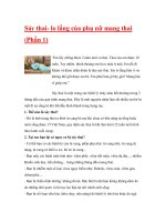 Sảy thai- lo lắng của phụ nữ mang thai (Phần 1) pdf