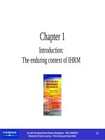 International human resource management - Chapter 1 docx