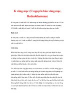 K võng mạc (U nguyên bào võng mạc, Retinoblastoma) pdf