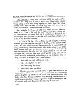 Kỹ thuật phát triển Cà phê Chè đạt hiệu quả kinh tế cao part 9 pdf