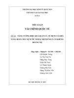 Tiểu luận Tăng cường hiệu quả quản lý, sử dụng và khả năng hoàn trả nợ nước ngoài tránh nguy cơ khủng hoảng nợ