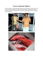 Câu cá ở quần đảo Maldives docx