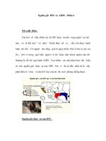 Nguồn gốc HIV và AIDS – Phần 4 pot