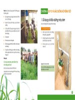 Thiết lập hệ thống tưới để trồng cỏ chất lượng cao - chương 4 doc