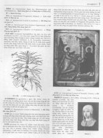 Từ điển bách khoa Việt Nam 2 part 5 ppt