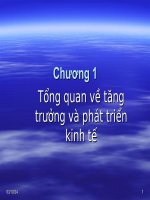 KINH TẾ PHÁT TRIỂN - Bài giảng chương 1 potx