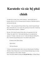 Karatedo và các hệ phái chính ppsx