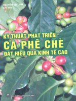 Kỹ thuật phát triển Cà phê Chè đạt hiệu quả kinh tế cao part 1 docx