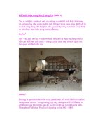 Hổ Xuất Hiện trong Bức Tường Vỡ (phần 1) pdf