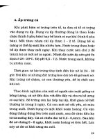 Kỹ thuật nuôi cá bống tượng part 3 docx