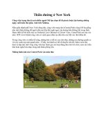 Thiên đường ở New York pptx