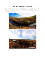 Sắc màu mùa thu ở Nội Mông docx