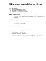 Tôi kiếm triệu đô từ kinh doanh bất động sản như thế nào potx