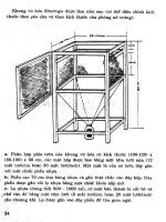 Kỹ thuật sản xuất ong mắt đỏ part 3 pps